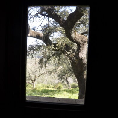 casas-rurales-sierra-03_05